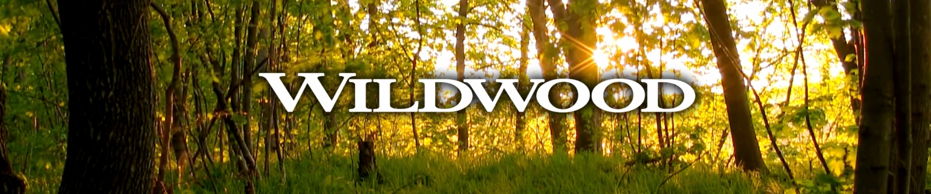 Wildwood RVs